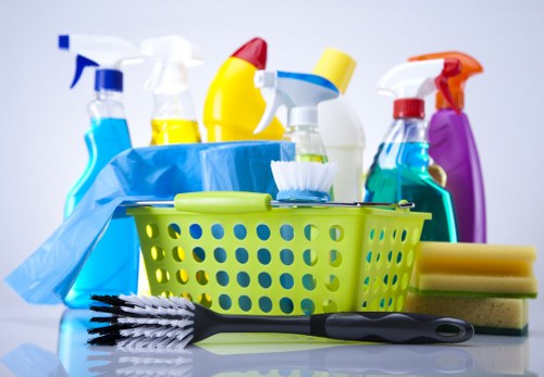Cleaning a pet stain from carpet with an enzyme solution