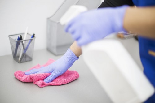 Homeowner blotting a fresh pet accident on upholstery