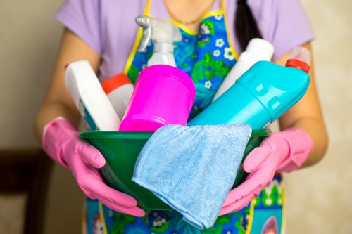 Fresh stain removal cleaning supplies on a table