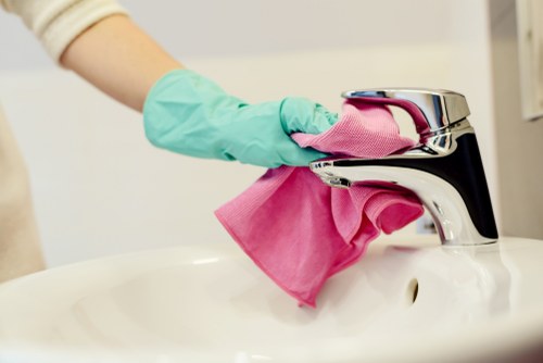 Different carpet cleaning methods and tools arranged neatly