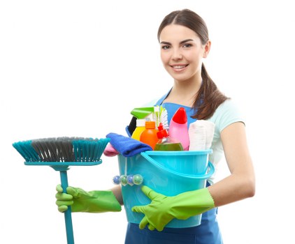 Pet stain odour removal supplies including baking soda and cleaner