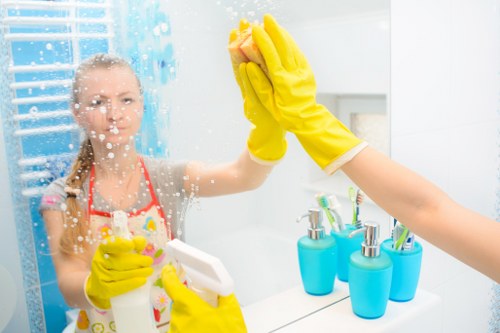 Cleaning supplies arranged for mattress cleaning
