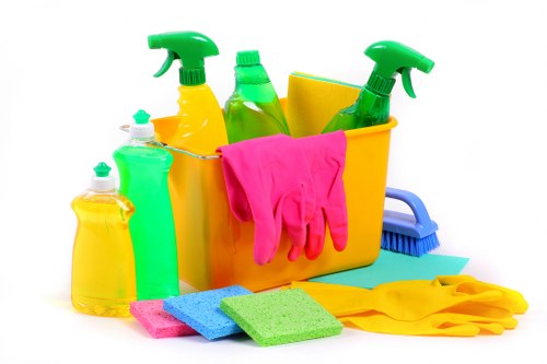 Fresh home interior after effective pet stain odour removal