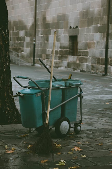 Image depicting a street cleaning scene with a green waste disposal cart placed on a paved walkway. The cart has a large plastic lid and is equipped with a handle and wheels, positioned next to a tree with a broom leaning against it. The pavement is partially covered with fallen leaves, and a stone wall with rectangular blocks is visible in the background. Natural daylight illuminates the area, highlighting the cleanliness of the surroundings. This scene exemplifies outdoor surface cleaning and maintenance, consistent with professional cleaning standards promoted by Maida Vale Carpet Cleaners.